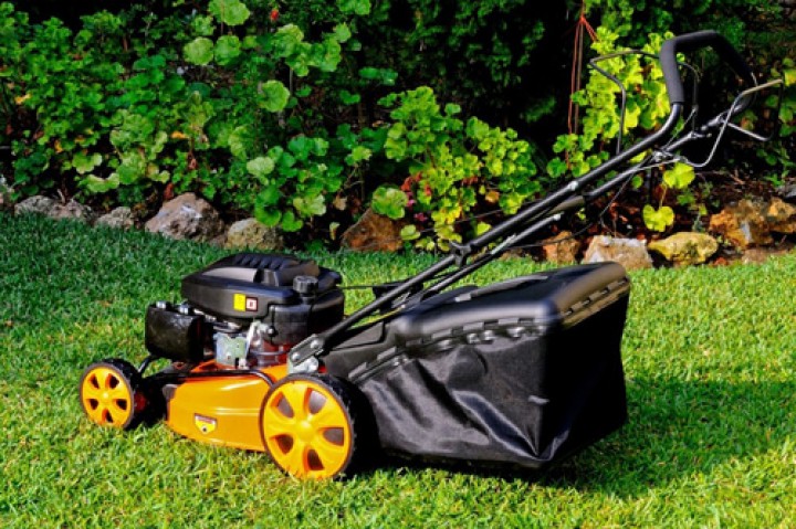 Pielęgnacja ogrodów